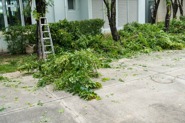Best Weed Control  in Davie, FL